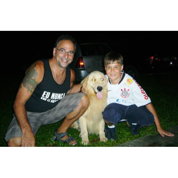 Caio e Napoleão na Cidade Dutra - Hotel para Cães no Butantã