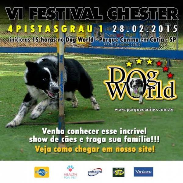 Dog na Vila Mariana - Hotel para Cães no Butantã