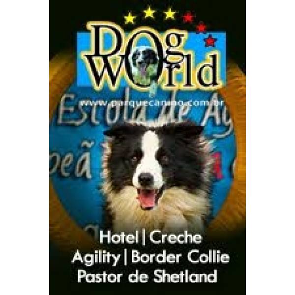 Dog World em Embu das Artes - Hotel para Cães no Butantã