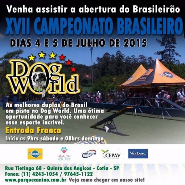 Dog World no Morumbi - Hotel para Cães no Butantã