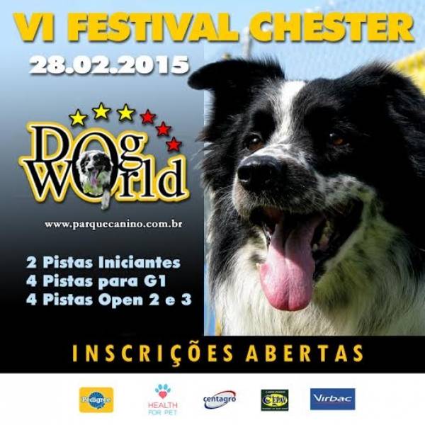 Festival Chester 2015 em Pinheiros - Hotel para Cães no Butantã