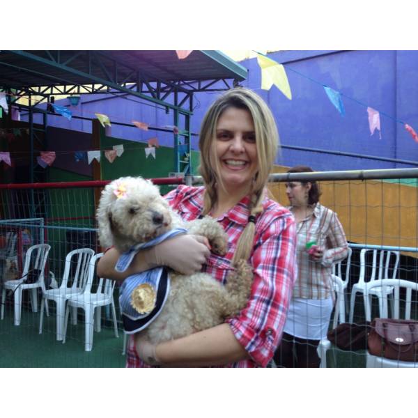 Hotel Bom para Cachorro de Pequeno Porte em São Lourenço da Serra - Hotelzinho para Cachorro no Morumbi