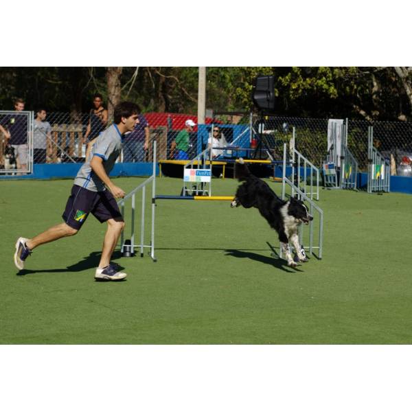 Hotel de Cachorrinhos em Raposo Tavares - Hotel para Cães no Butantã