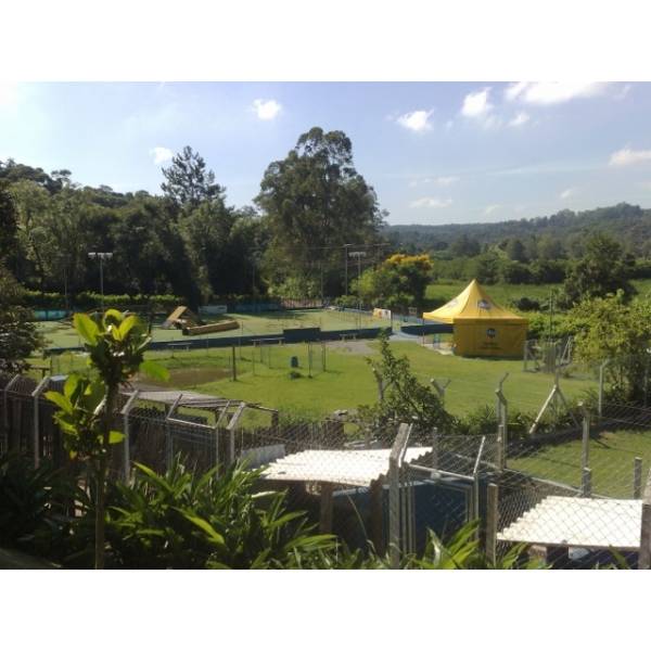 Hotel de Cão em Pinheiros - Hotel para Cães em Cotia