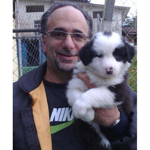 Hotel para Cachorrinho em Interlagos - Hotel para Cães no Butantã