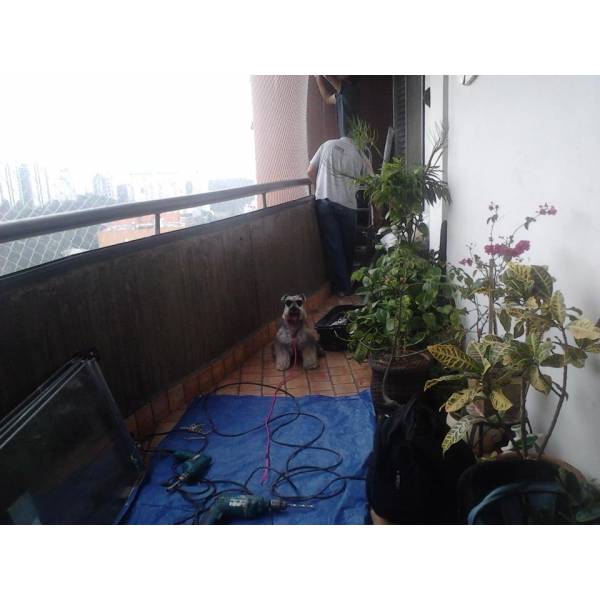 Onde Encontrar Adestradores para Cães no Jardins - Adestrador de Cães em São Paulo