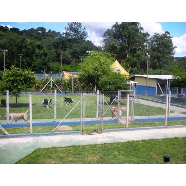 Onde Encontrar Hotel para Cães na Cidade Jardim - Hotel para Grandes Cachorros