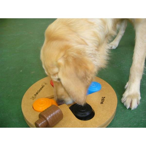 Preço de Daycare de Cães no Itaim Bibi - Day Care Dog