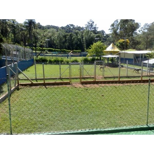 Preço de Hotéis para Cachorro no Jardim São Luiz - Hotel para Cachorro Quanto Custa