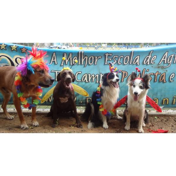 Preço de Hotéis para Cão em Embu das Artes - Hotel para Cães em SP