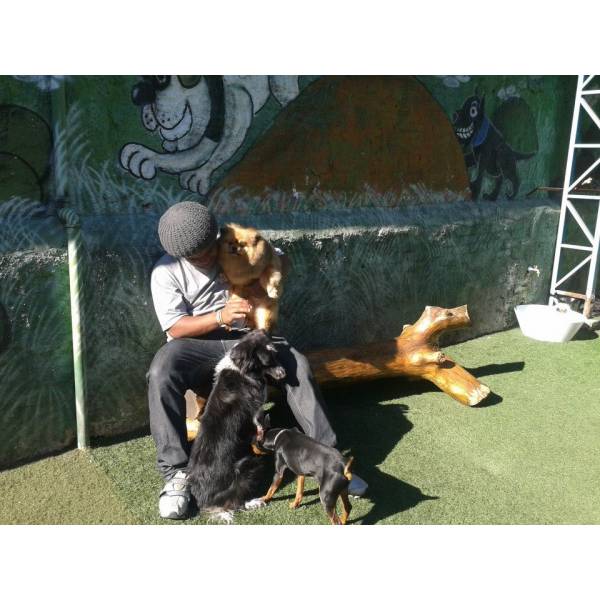 Preços de Daycare para Cão  no Campo Belo - Dog Care no Itaim Bibi