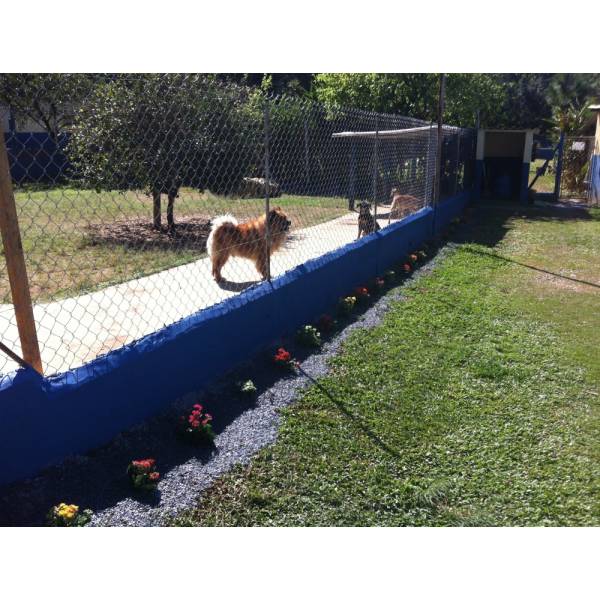 Valor de Hotéis para Cães na Pedreira - Hotel para Pequenos Cachorros